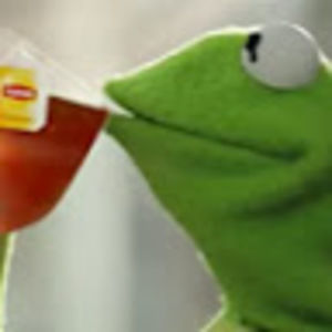 Meet your Posher, Natasha